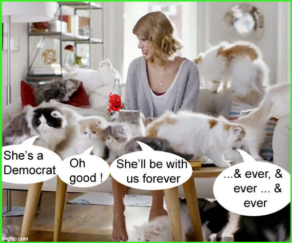 Cat Woman | image tagged in cat woman,cat women,lol,taylor swift | made w/ Imgflip meme maker