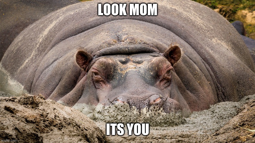 LOOK MOM; ITS YOU | made w/ Imgflip meme maker