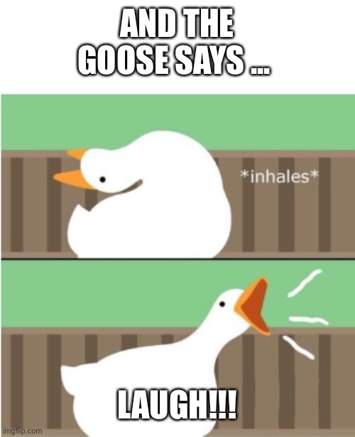 Untitled goose game honk | AND THE GOOSE SAYS ... LAUGH!!! | image tagged in untitled goose game honk | made w/ Imgflip meme maker
