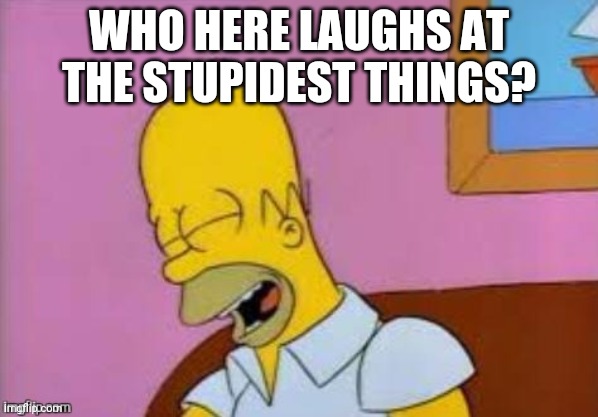 Don't Worry, I Laugh At The Stupidest Things, Too! | WHO HERE LAUGHS AT THE STUPIDEST THINGS? | image tagged in homer laughing | made w/ Imgflip meme maker