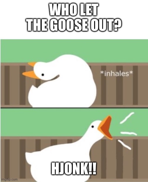 Untitled goose game honk | WHO LET THE GOOSE OUT? HJONK!! | image tagged in untitled goose game honk | made w/ Imgflip meme maker