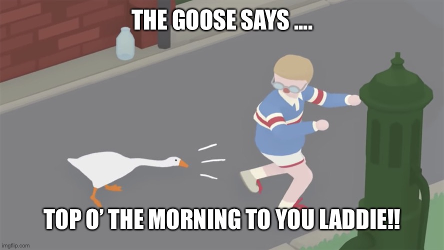 Goose game honk | THE GOOSE SAYS .... TOP O’ THE MORNING TO YOU LADDIE!! | image tagged in goose game honk | made w/ Imgflip meme maker