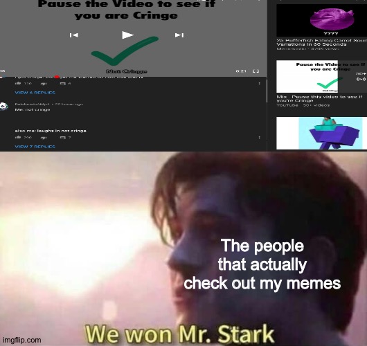 Sorry if this sounds self promoting and if you find me to be cringey | The people that actually check out my memes | image tagged in we won mr stark | made w/ Imgflip meme maker