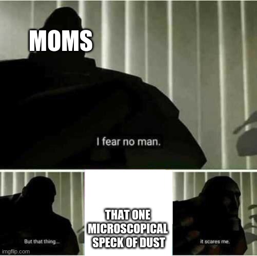 I fear no man | MOMS; THAT ONE MICROSCOPICAL  SPECK OF DUST | image tagged in i fear no man | made w/ Imgflip meme maker