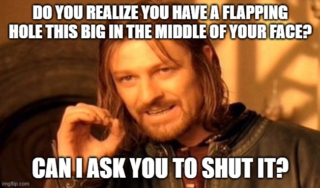One Does Not Simply Meme | DO YOU REALIZE YOU HAVE A FLAPPING HOLE THIS BIG IN THE MIDDLE OF YOUR FACE? CAN I ASK YOU TO SHUT IT? | image tagged in memes,one does not simply | made w/ Imgflip meme maker