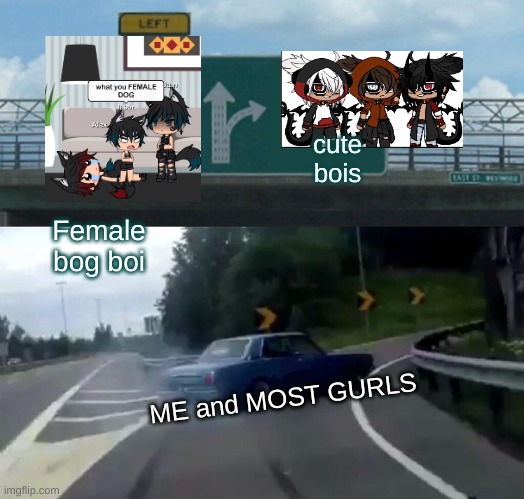 Left Exit 12 Off Ramp | cute bois; Female bog boi; ME and MOST GURLS | image tagged in memes,left exit 12 off ramp | made w/ Imgflip meme maker