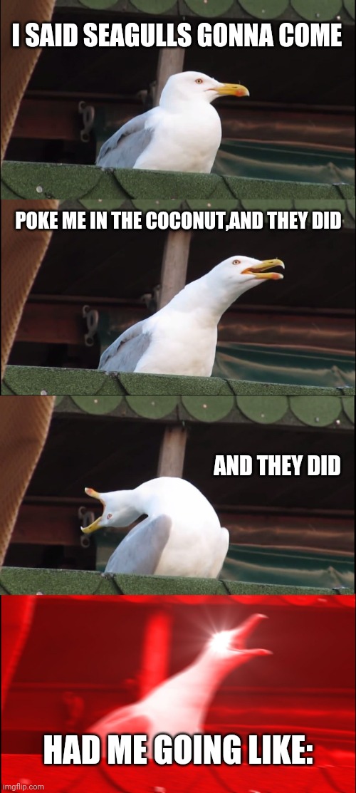 Inhaling Seagull Meme | I SAID SEAGULLS GONNA COME POKE ME IN THE COCONUT,AND THEY DID AND THEY DID HAD ME GOING LIKE: | image tagged in memes,inhaling seagull | made w/ Imgflip meme maker