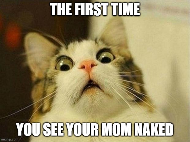 Scared Cat Meme | THE FIRST TIME; YOU SEE YOUR MOM NAKED | image tagged in memes,scared cat | made w/ Imgflip meme maker