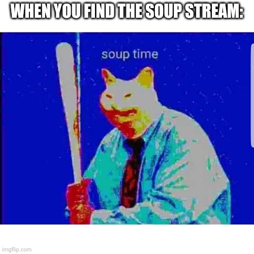 Soup Time Cat | WHEN YOU FIND THE SOUP STREAM: | image tagged in soup time cat | made w/ Imgflip meme maker