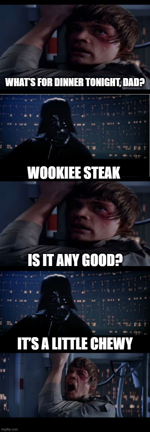 Dinner with the Skywalkers | WHAT’S FOR DINNER TONIGHT, DAD? WOOKIEE STEAK; IS IT ANY GOOD? IT’S A LITTLE CHEWY | image tagged in memes,star wars no | made w/ Imgflip meme maker