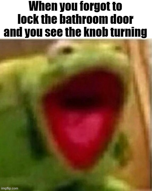 AHHHHHHHHHHHHH | When you forgot to lock the bathroom door and you see the knob turning | image tagged in ahhhhhhhhhhhhh | made w/ Imgflip meme maker