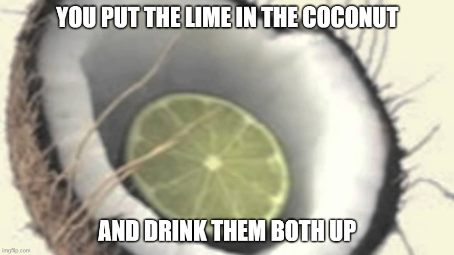 Brudder Bought a Coconut He Bought It For a Dime | YOU PUT THE LIME IN THE COCONUT; AND DRINK THEM BOTH UP | image tagged in awesome music | made w/ Imgflip meme maker