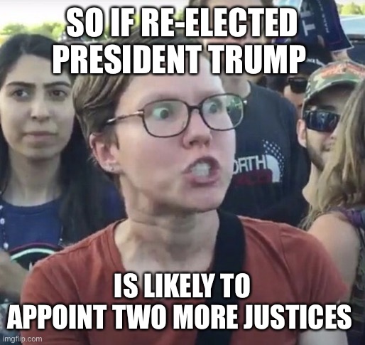Triggered feminist | SO IF RE-ELECTED PRESIDENT TRUMP; IS LIKELY TO APPOINT TWO MORE JUSTICES | image tagged in triggered feminist | made w/ Imgflip meme maker