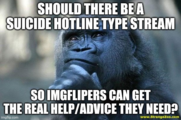 ((I know you guys don't allow this,because it's not what the tank is for,but I think it could be a good idea.)) | SHOULD THERE BE A SUICIDE HOTLINE TYPE STREAM; SO IMGFLIPERS CAN GET THE REAL HELP/ADVICE THEY NEED? | image tagged in deep thoughts | made w/ Imgflip meme maker