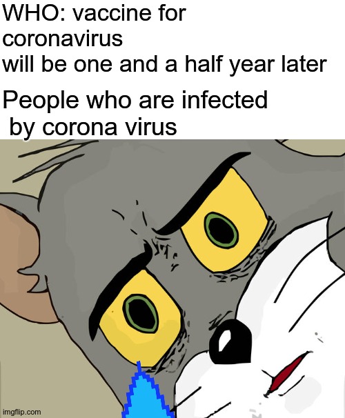 Unsettled Tom Meme | WHO: vaccine for coronavirus
will be one and a half year later; People who are infected
 by corona virus | image tagged in memes,unsettled tom | made w/ Imgflip meme maker