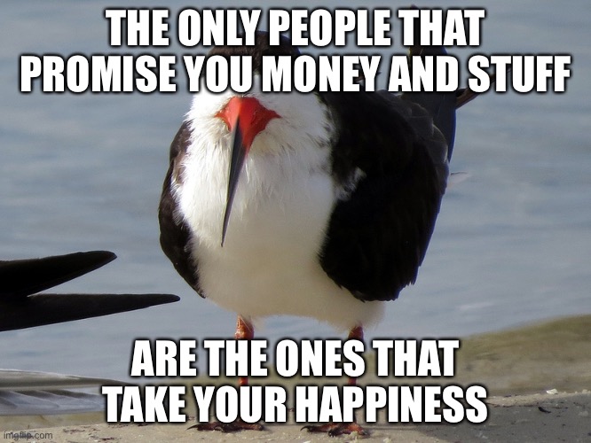 Even Less Popular Opinion Bird | THE ONLY PEOPLE THAT PROMISE YOU MONEY AND STUFF; ARE THE ONES THAT TAKE YOUR HAPPINESS | image tagged in even less popular opinion bird | made w/ Imgflip meme maker