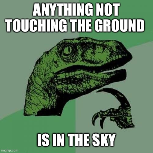 Philosoraptor | ANYTHING NOT TOUCHING THE GROUND; IS IN THE SKY | image tagged in memes,philosoraptor | made w/ Imgflip meme maker