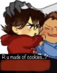 R u made of cookies Blank Meme Template