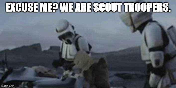 Punching Baby Yoda | EXCUSE ME? WE ARE SCOUT TROOPERS. | image tagged in punching baby yoda | made w/ Imgflip meme maker