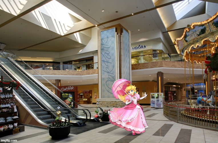 peach runs around the mall before it opens. | image tagged in super mario,mall,super smash bros | made w/ Imgflip meme maker