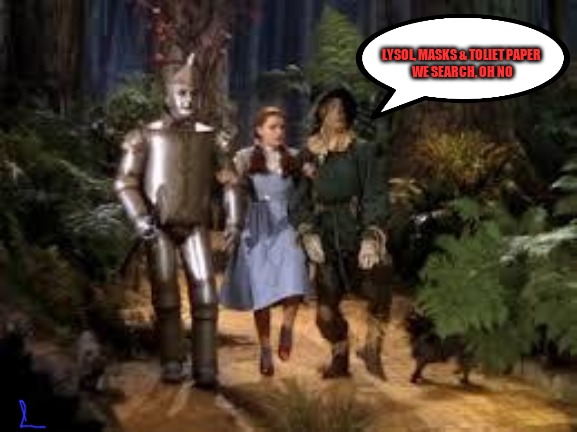 Wizard of Oz | LYSOL, MASKS & TOLIET PAPER 
WE SEARCH, OH NO | image tagged in wizard of oz | made w/ Imgflip meme maker