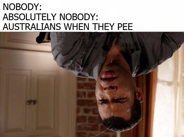 NOBODY:
ABSOLUTELY NOBODY:
AUSTRALIANS WHEN THEY PEE | image tagged in politics | made w/ Imgflip meme maker