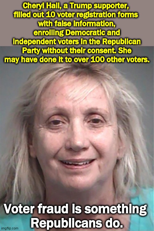 It's always Republicans. | Cheryl Hall, a Trump supporter, 
filled out 10 voter registration forms 
with false information, enrolling Democratic and independent voters in the Republican Party without their consent. She may have done it to over 100 other voters. Voter fraud is something 
Republicans do. | image tagged in republican,voter fraud,criminal | made w/ Imgflip meme maker