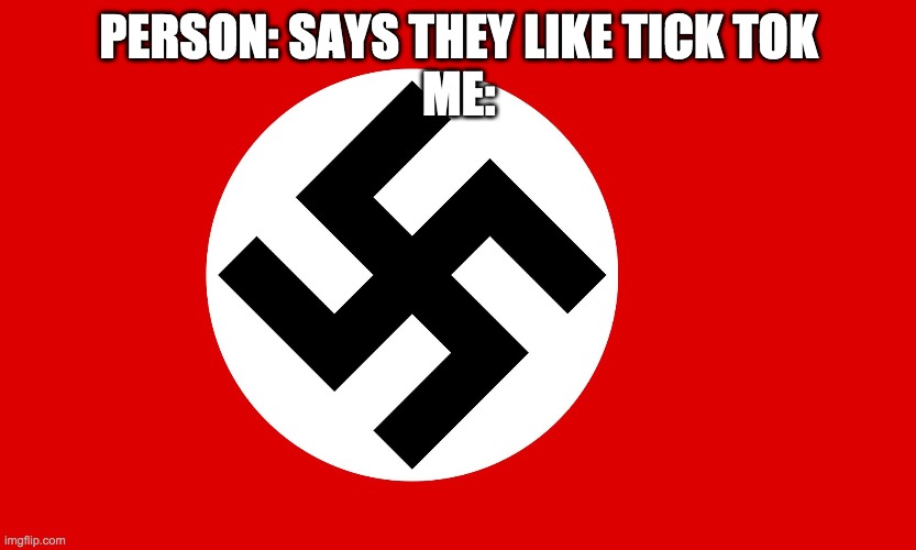 Sorry if this meme offends u | PERSON: SAYS THEY LIKE TICK TOK
ME: | image tagged in nazi flag | made w/ Imgflip meme maker