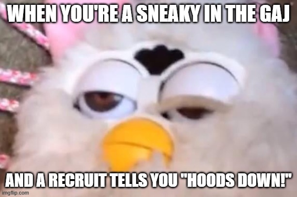 High Furby | WHEN YOU'RE A SNEAKY IN THE GAJ; AND A RECRUIT TELLS YOU "HOODS DOWN!" | image tagged in high furby | made w/ Imgflip meme maker