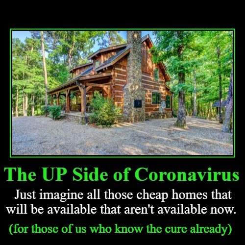 The UP Side of Coronavirus | image tagged in cheap housing,coronavirus,pandemic,epidemic,i see dead people,i see cheap real estate | made w/ Imgflip meme maker