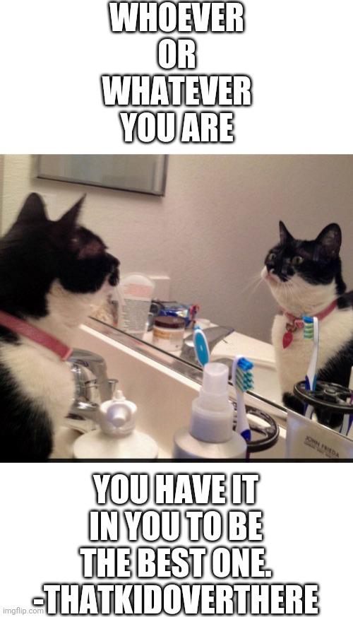 Motivational Cat | WHOEVER OR WHATEVER YOU ARE; YOU HAVE IT IN YOU TO BE THE BEST ONE.
-THATKIDOVERTHERE | image tagged in motivational cat | made w/ Imgflip meme maker