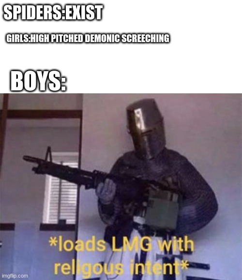 Loads LMG with religious intent | SPIDERS:EXIST; GIRLS:HIGH PITCHED DEMONIC SCREECHING; BOYS: | image tagged in loads lmg with religious intent | made w/ Imgflip meme maker