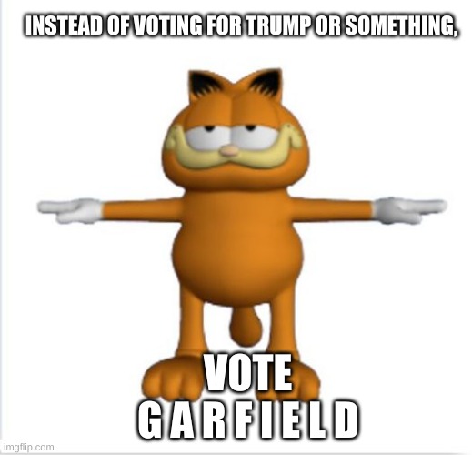 garfield t-pose | INSTEAD OF VOTING FOR TRUMP OR SOMETHING, VOTE       G A R F I E L D | image tagged in garfield t-pose | made w/ Imgflip meme maker