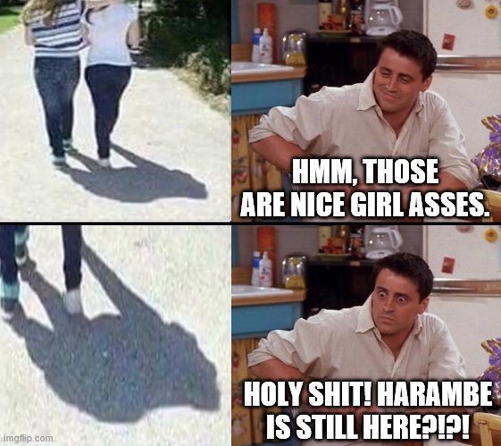 Comprehending Joey | HMM, THOSE ARE NICE GIRL ASSES. HOLY SHIT! HARAMBE IS STILL HERE?!?! | image tagged in comprehending joey | made w/ Imgflip meme maker