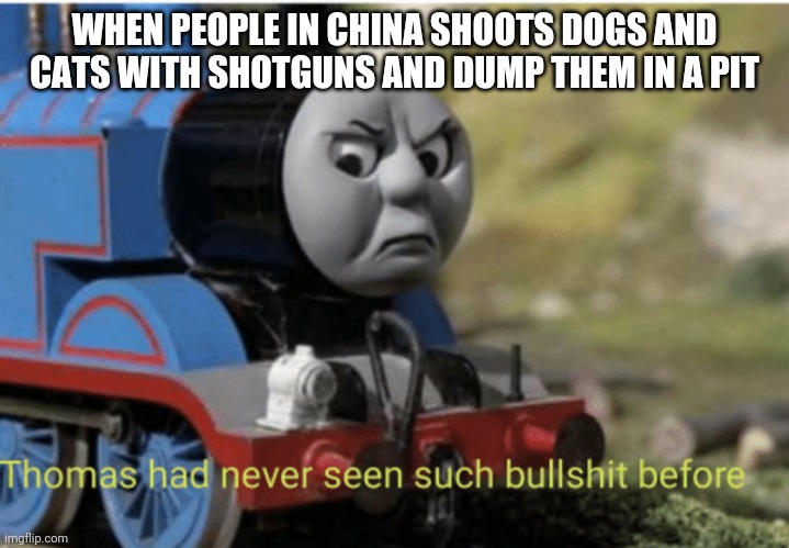 Thomas | WHEN PEOPLE IN CHINA SHOOTS DOGS AND CATS WITH SHOTGUNS AND DUMP THEM IN A PIT | image tagged in thomas | made w/ Imgflip meme maker