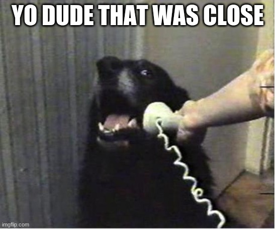 Yes this is dog | YO DUDE THAT WAS CLOSE | image tagged in yes this is dog | made w/ Imgflip meme maker