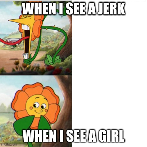 Cuphead Flower | WHEN I SEE A JERK; WHEN I SEE A GIRL | image tagged in cuphead flower | made w/ Imgflip meme maker