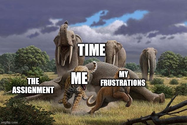 TIME; MY FRUSTRATIONS; THE ASSIGNMENT; ME | image tagged in school is horrendus,time is running out,memes | made w/ Imgflip meme maker