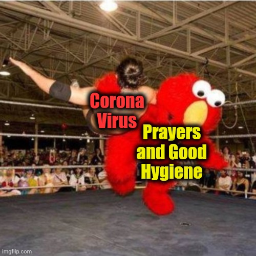 Elmo wrestling | Corona
Virus; Prayers and Good Hygiene | image tagged in elmo wrestling | made w/ Imgflip meme maker