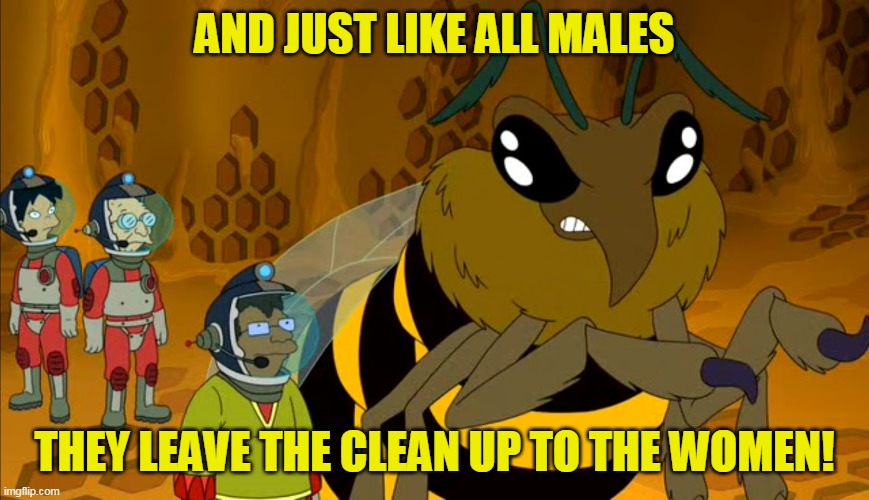 AND JUST LIKE ALL MALES THEY LEAVE THE CLEAN UP TO THE WOMEN! | made w/ Imgflip meme maker