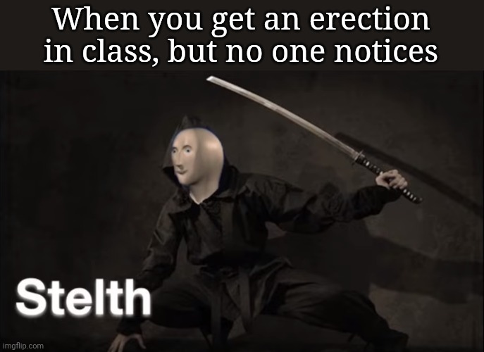 Classroom memes I | When you get an erection in class, but no one notices | image tagged in stealth | made w/ Imgflip meme maker