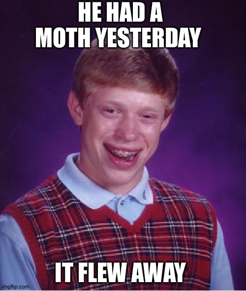 Bad Luck Brian | HE HAD A MOTH YESTERDAY; IT FLEW AWAY | image tagged in memes,bad luck brian | made w/ Imgflip meme maker