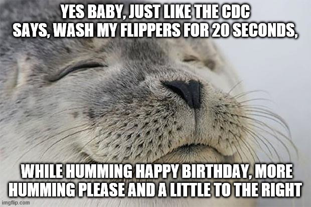 Satisfied Seal Meme | YES BABY, JUST LIKE THE CDC SAYS, WASH MY FLIPPERS FOR 20 SECONDS, WHILE HUMMING HAPPY BIRTHDAY, MORE HUMMING PLEASE AND A LITTLE TO THE RIGHT | image tagged in memes,satisfied seal | made w/ Imgflip meme maker