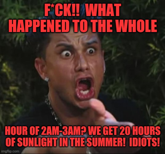 DJ Pauly D | F*CK!!  WHAT HAPPENED TO THE WHOLE; HOUR OF 2AM-3AM? WE GET 20 HOURS OF SUNLIGHT IN THE SUMMER!  IDIOTS! | image tagged in memes,dj pauly d | made w/ Imgflip meme maker