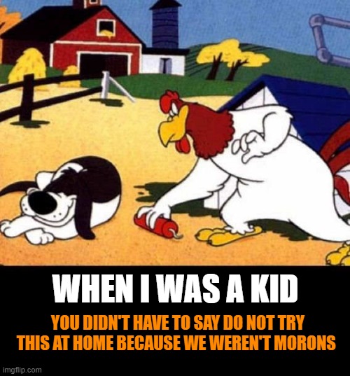 WHEN I WAS A KID; YOU DIDN'T HAVE TO SAY DO NOT TRY THIS AT HOME BECAUSE WE WEREN'T MORONS | made w/ Imgflip meme maker