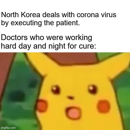 Surprised Pikachu Meme | North Korea deals with corona virus 
by executing the patient. Doctors who were working hard day and night for cure: | image tagged in memes,surprised pikachu | made w/ Imgflip meme maker