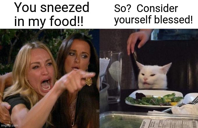 Woman Yelling At Cat Meme | You sneezed in my food!! So?  Consider yourself blessed! | image tagged in memes,woman yelling at cat | made w/ Imgflip meme maker