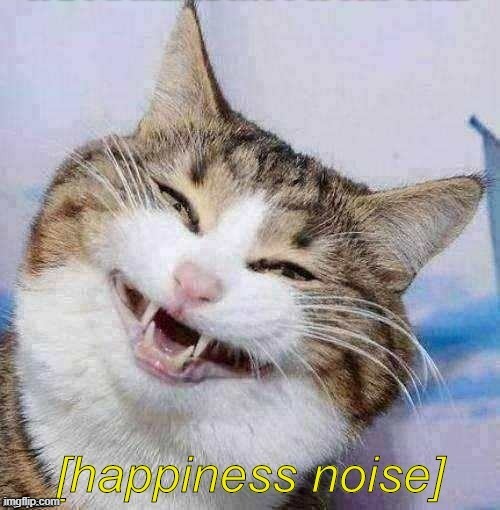 Happiness Noise Cat | image tagged in happiness noise cat | made w/ Imgflip meme maker