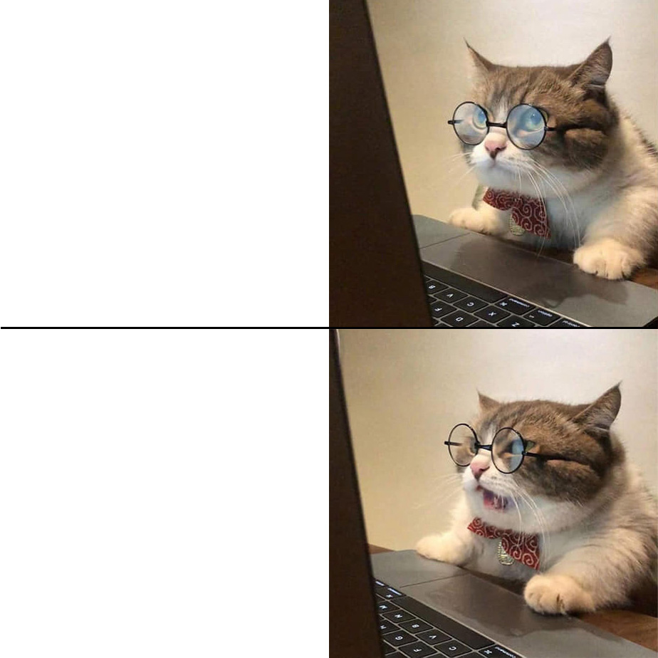 angry cat Blank Meme Template