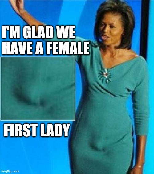 Michelle Obama Has a Penis | I'M GLAD WE HAVE A FEMALE FIRST LADY | image tagged in michelle obama has a penis | made w/ Imgflip meme maker